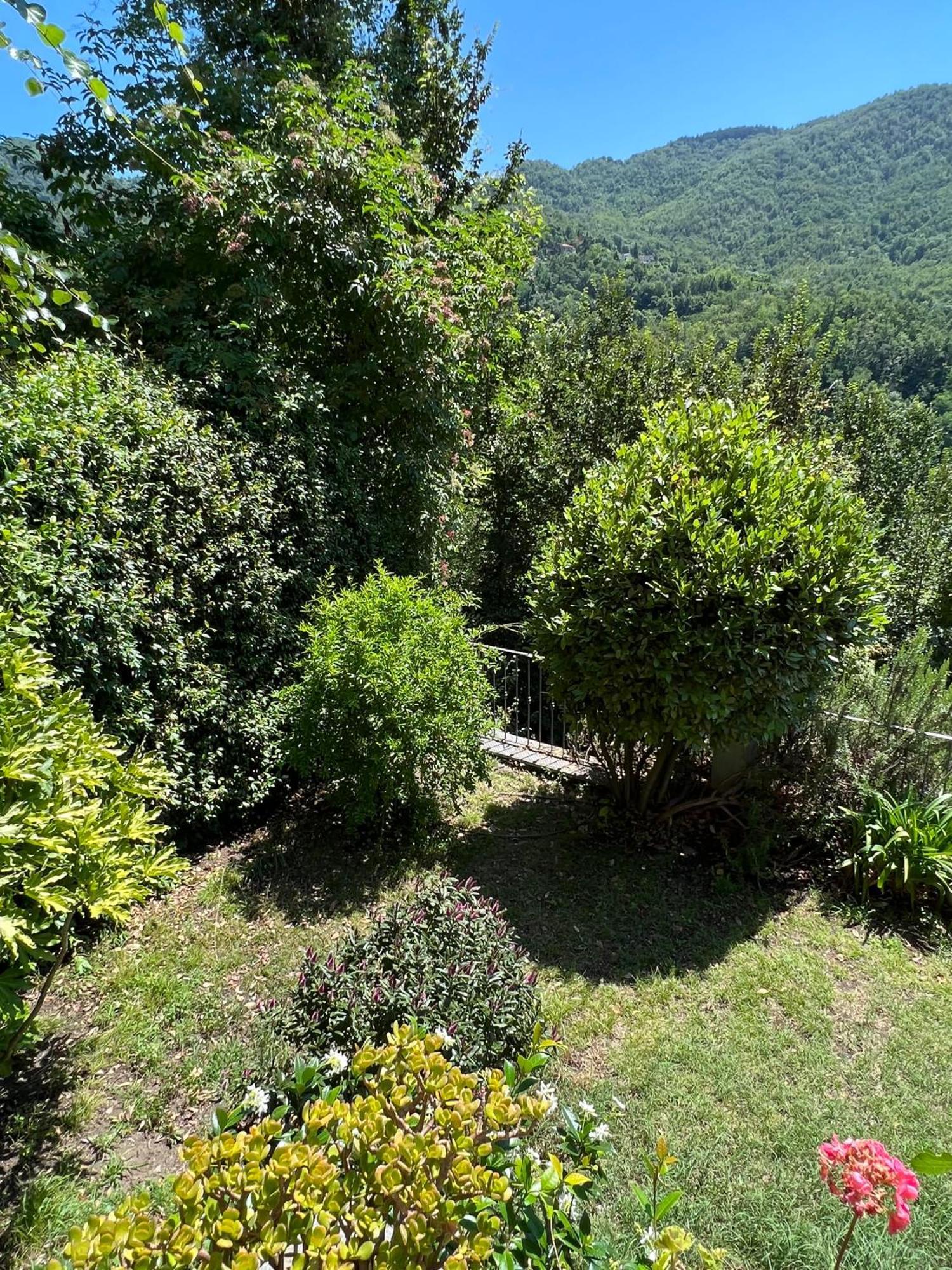 Casa Boru - A Beautiful Fully Restored Spacious House With Fantastic Views Calice al Cornoviglio Εξωτερικό φωτογραφία