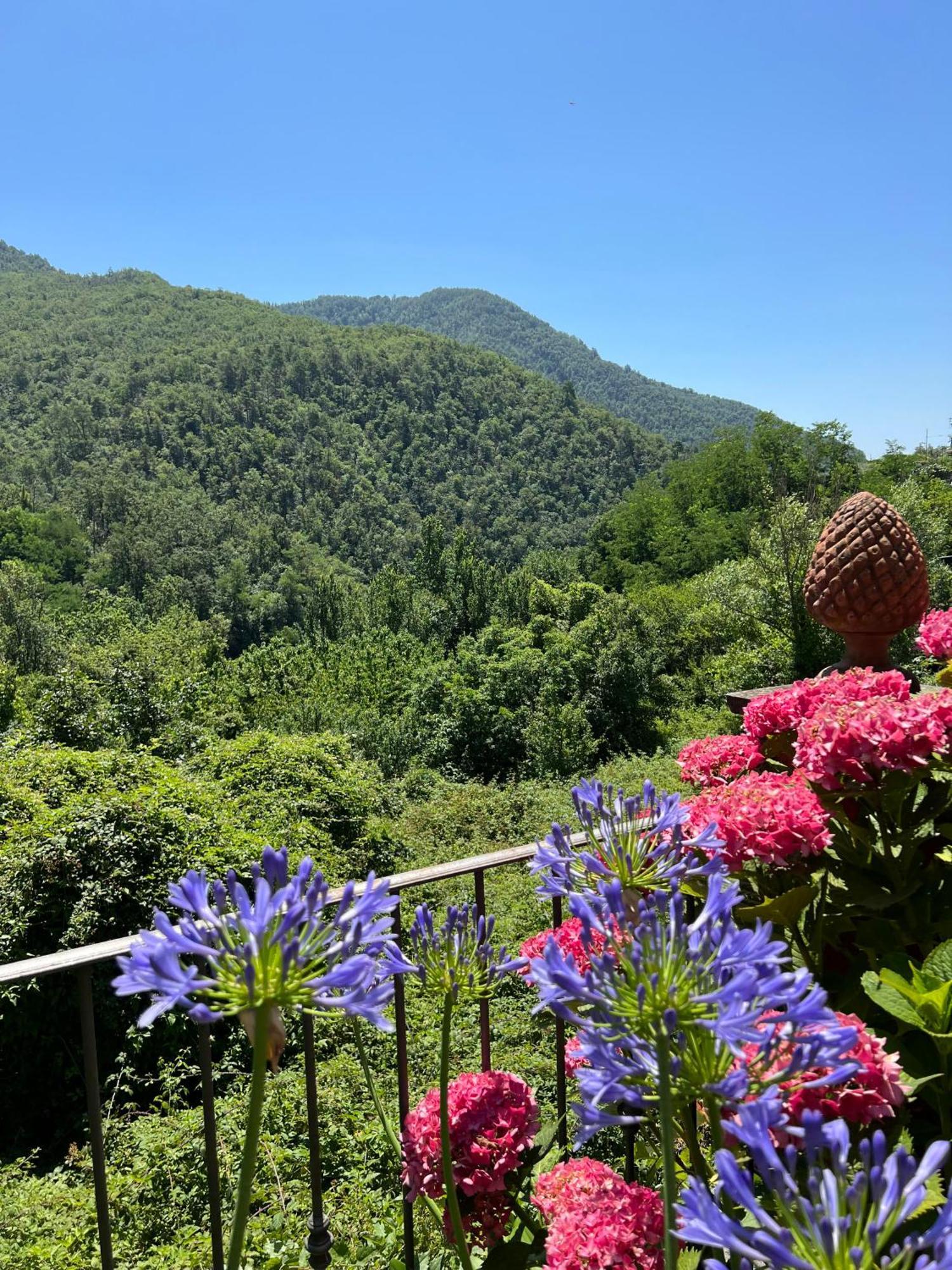 Casa Boru - A Beautiful Fully Restored Spacious House With Fantastic Views Calice al Cornoviglio Εξωτερικό φωτογραφία